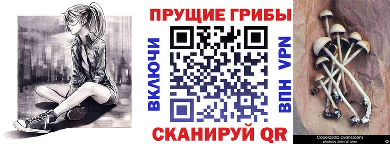 Псилоцибиновые грибы мухоморы наркотики Пустошка