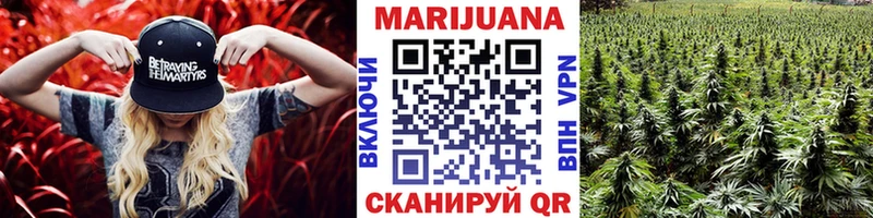 Канабис конопля  Пустошка 